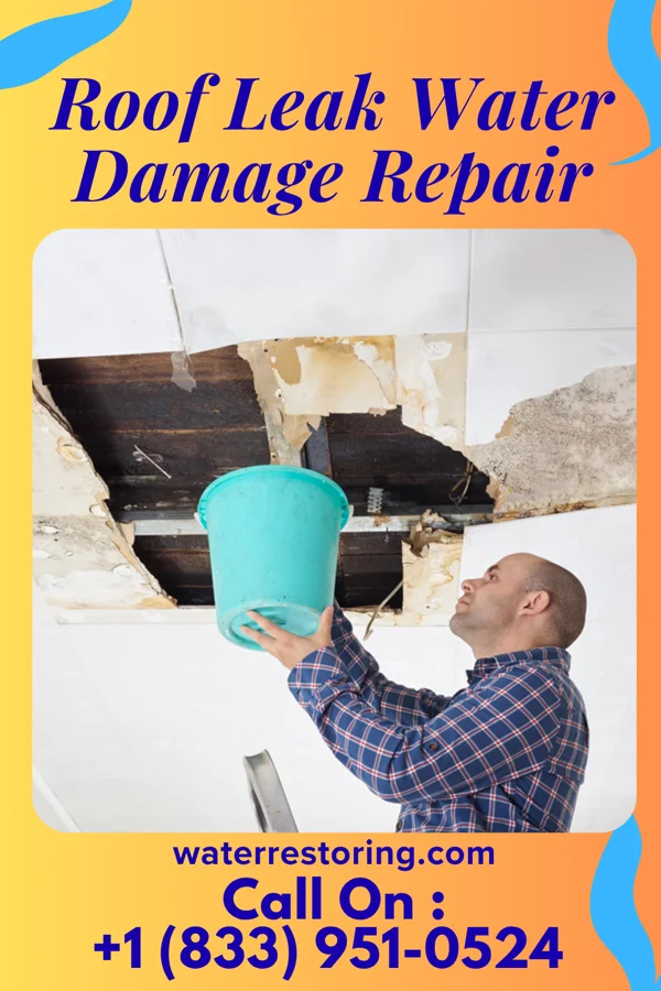Roof Leak Water Damage Repair in Berlin, ND