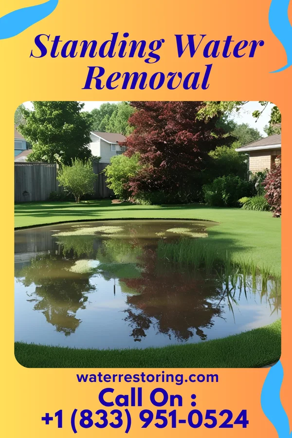Standing Water Removal in Berlin, ND
